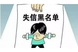 大化专业讨债公司有哪些核心服务？